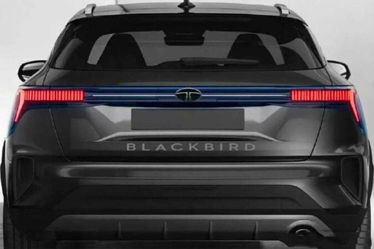 Black Bird Tata Car Price 2024 Images, Lunch Date